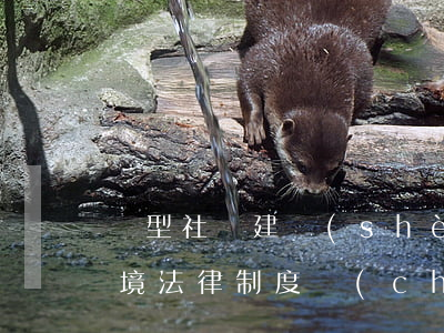 兩型社會建設(shè)與環(huán)境法律制度創(chuàng)新
