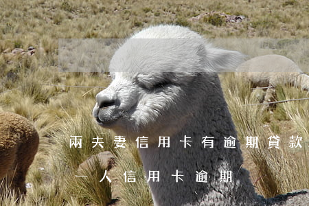 兩夫妻信用卡有逾期貸款能過么 夫妻之間有一人信用卡逾期