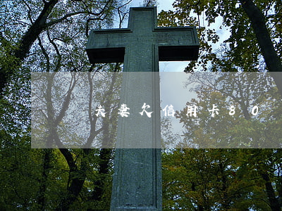 兩夫妻欠信用卡80萬（兩張信用卡共欠8萬）