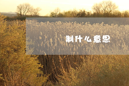 兩審終審制什么意思