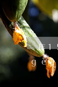 兩年15個(gè)1逾期-5年11個(gè)月逾期