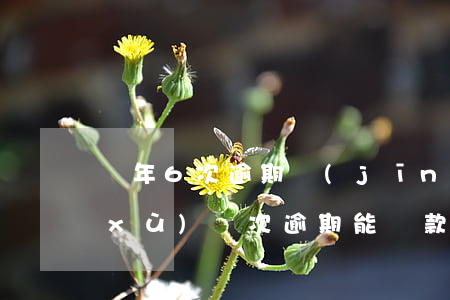 兩年6次逾期經(jīng)營貸款(連續(xù)兩次逾期能貸款嗎)
