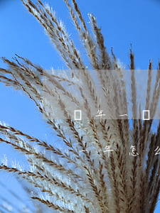 兩年一檢逾期了怎么辦(逾期檢驗(yàn)一年怎么處理)