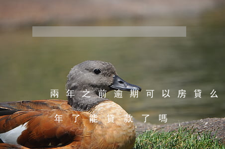 兩年之前逾期可以房貸么(貸款逾期款還了兩年了能貸款了嗎)