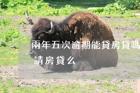 兩年五次逾期能貸房貸嗎(有五次逾期可以申請房貸么)