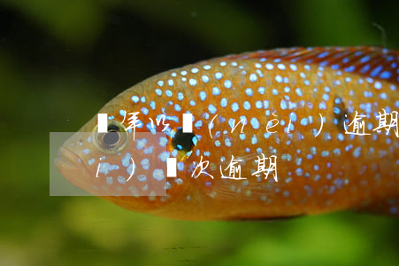 兩年以內(nèi)逾期三次(一年內(nèi)兩次逾期)