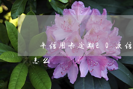 兩年信用卡逾期20次(信用卡逾期二十多次怎么辦)