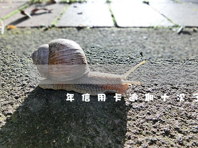 兩年信用卡逾期十次了（兩年信用卡逾期十次）