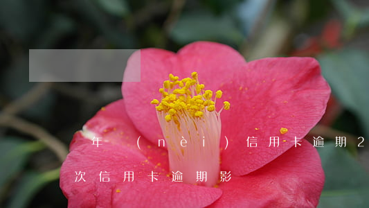 兩年內(nèi)信用卡逾期2次(兩年前一次信用卡逾期影響)