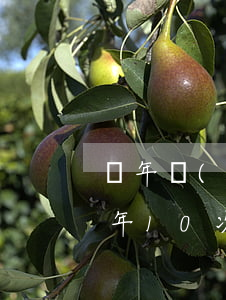 兩年內(nèi)信用卡逾期5次（信用卡2年10次逾期）