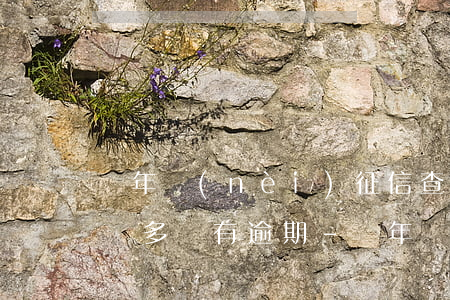 兩年內(nèi)征信查詢次數(shù)較多沒有逾期-兩年內(nèi)征信查詢次數(shù)較多沒有逾期記錄