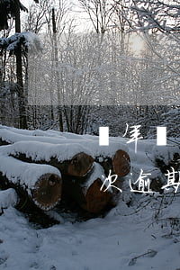 兩年內(nèi)有兩次逾期房貸(兩年前多次逾期還能房貸嗎)