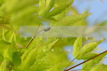 兩年內(nèi)有六次逾期(一年內(nèi)逾期六次)