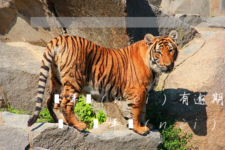 兩年內(nèi)有逾期記錄可以辦信用卡嗎-兩年內(nèi)有逾期記錄可以辦信用卡嗎知乎