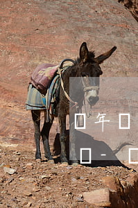 兩年內(nèi)沒有逾期記錄能辦信用卡嗎-兩年內(nèi)沒有逾期記錄能辦信用卡嗎知乎