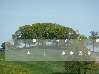 兩年內(nèi)沒逾期貸款嗎(兩年內(nèi)無逾期,五年內(nèi)有逾期怎么辦)