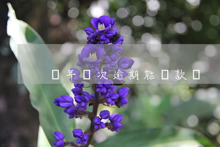 兩年兩次逾期能貸款嗎