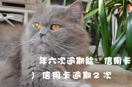 兩年六次逾期能辦信用卡嗎(兩年內(nèi)信用卡逾期2次)