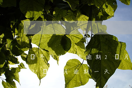 兩年前信用卡逾期2個月(信用卡連續(xù)兩個月逾期一天)