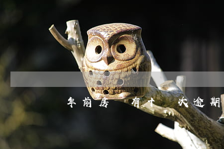 兩年前房貸有十幾次逾期