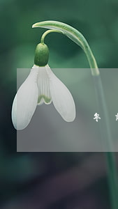兩年前有兩次網(wǎng)貸逾期影響房貸嗎(兩年前有兩次網(wǎng)貸逾期影響房貸嗎知乎)