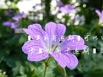 兩年前有逾期還可以申請(qǐng)信用卡嗎（信用卡逾期兩年了可以申請(qǐng)退息嗎）
