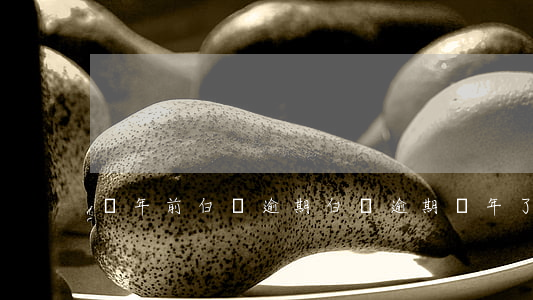 兩年前白條逾期(白條逾期兩年了怎么辦)