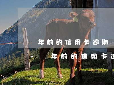 兩年前的信用卡逾期記錄影響公積金貸款嗎-兩年前的信用卡逾期記錄影響公積金貸款嗎