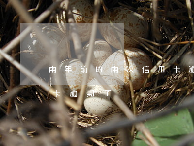 兩年前的兩次信用卡逾期 兩年前的兩次信用卡逾期了