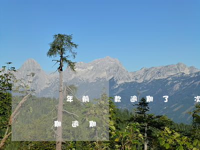 兩年前貸款逾期了兩次(貸款連續(xù)兩期逾期)