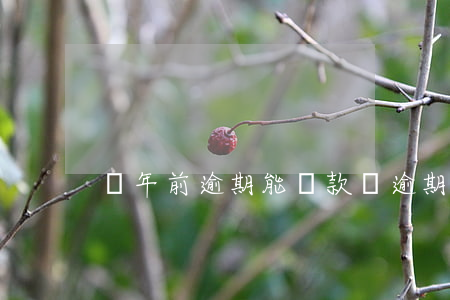 兩年前逾期能貸款嗎(逾期兩年后可以貸款嗎)