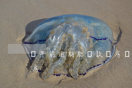 兩年前逾期能貸款買房(兩年前逾期能貸款買房)
