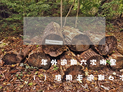 兩年外逾期六次哪里辦信用卡(兩年內(nèi)信用卡逾期6次 房貸)