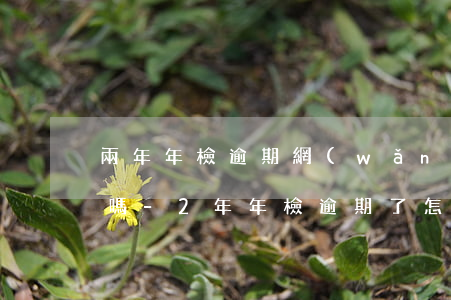 兩年年檢逾期網(wǎng)上處理會扣分嗎-2年年檢逾期了怎么處理