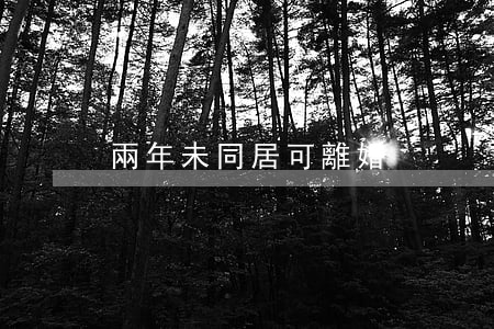 兩年未同居可離婚