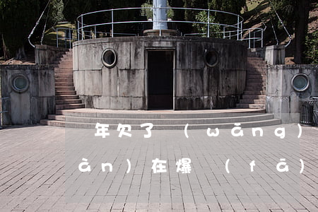 兩年欠了網(wǎng)貸十幾萬現(xiàn)在爆發(fā)了(兩年欠了網(wǎng)貸十幾萬現(xiàn)在爆發(fā)了)
