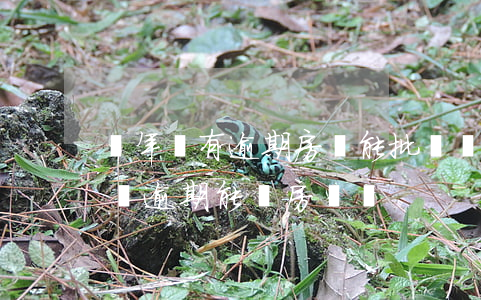 兩年沒有逾期房貸能批嗎(兩年內(nèi)無逾期能辦房貸嗎)