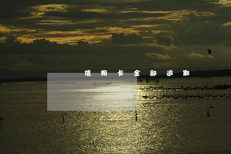 兩張信用卡全部逾期