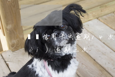 兩張信用卡共逾期14次(信用卡兩年內(nèi)逾期三次)