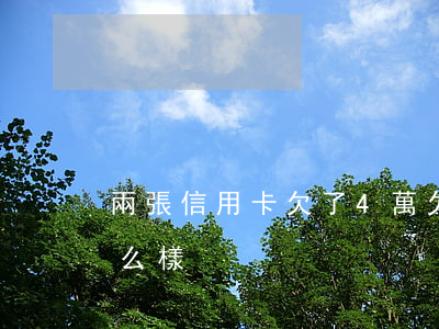 兩張信用卡欠了4萬(欠信用卡四萬塊錢會怎么樣)