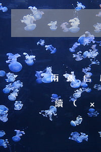 兩張信用卡累計(jì)六次逾期(信用卡連續(xù)逾期2次)
