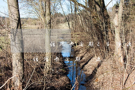 兩張信用卡逾期20多次(一年內(nèi)信用卡逾期兩次)