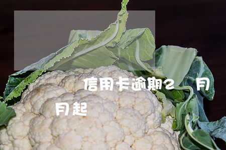 兩張信用卡逾期2個月 兩張信用卡逾期2個月起訴