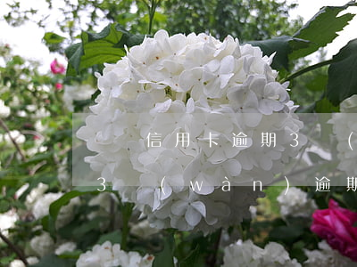 兩張信用卡逾期3萬(wàn)元(信用卡欠3萬(wàn)逾期兩年)