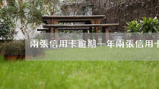 兩張信用卡逾期一年(兩張信用卡逾期一年)
