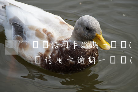 兩張信用卡逾期一張會(huì)怎樣-兩張信用卡逾期一張會(huì)怎樣處理