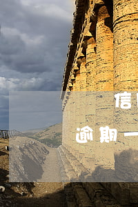 兩張信用卡逾期超6w怎么搞(信用卡6萬多逾期一個月)