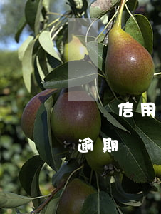 兩張信用卡還錯(cuò)導(dǎo)致逾期(兩張信用卡逾期會(huì)一起起訴嗎)