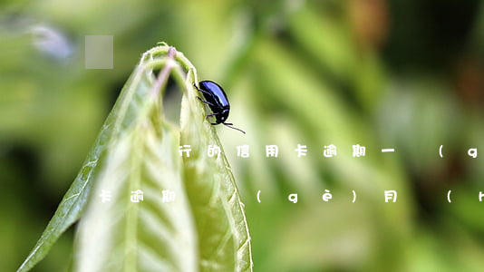 兩張銀行的信用卡逾期一個(gè)月(銀行卡逾期兩個(gè)月會(huì)怎么樣)
