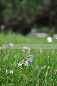 兩撥乘客搶座互毆